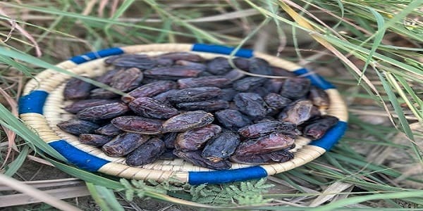 تصویر 2 از خرید و قیمت خرمای کلوته کهنوج + فروش صادراتی